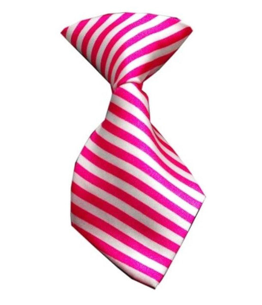 The University Tie - Dressed By Finn, LLC