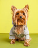 Cotton Club Jacket - Dressed By Finn, LLC