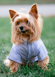 Poplin Striped Shirt - Dressed By Finn, LLC