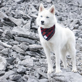 Riley Plaid Bandanna - Dressed By Finn, LLC