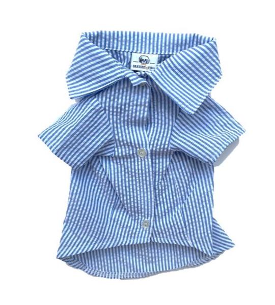 Carlisle Blue Shirt - Dressed By Finn, LLC