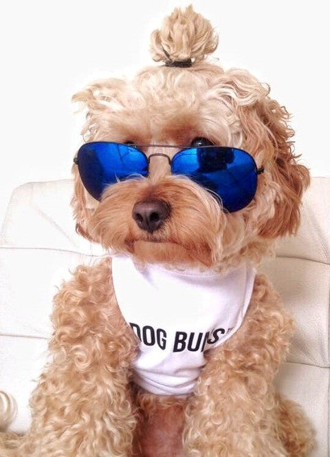 Dressed By Finn, LLC