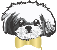 Dressed By Finn, LLC